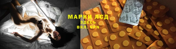 гидропоника Балабаново