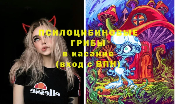 гидропоника Балабаново