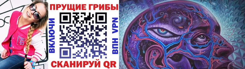 даркнет телеграм  Белокуриха  Псилоцибиновые грибы мухоморы 